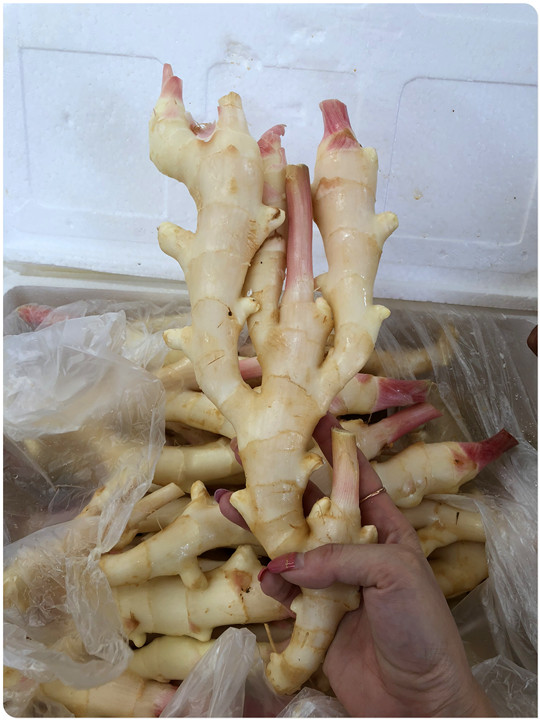 J9���ʼ���(�й�)-�ٷ���վ