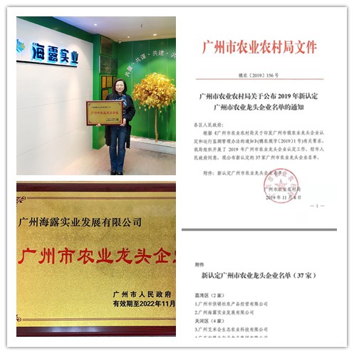 J9���ʼ���(�й�)-�ٷ���վ
