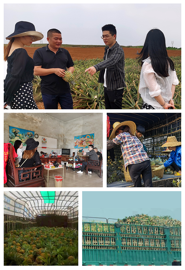 J9���ʼ���(�й�)-�ٷ���վ