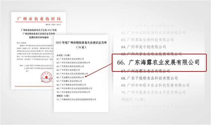 1-23120GS941164 J9国际集团(中国)-官方网站