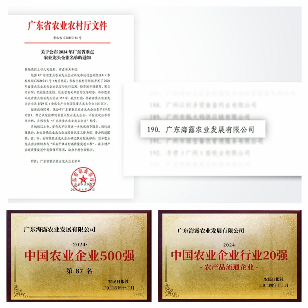 1-2506051411103H J9国际集团(中国)-官方网站